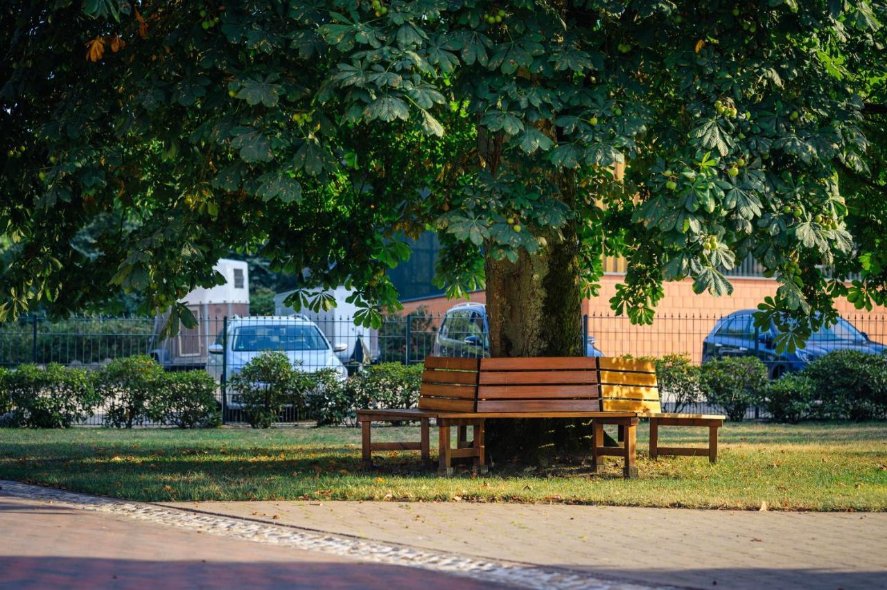 Pferdeparadies Untergruenhagen Bad Fallingbostel Luaran gambar